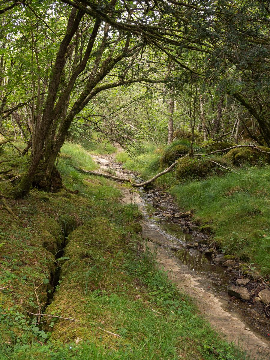 P8235452.jpg