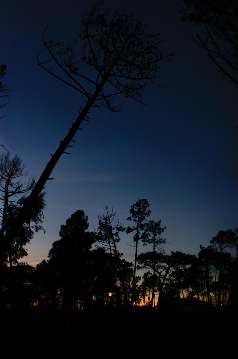 Super-Snaplite_2_1-2inch_Panorama1 Kopie.jpg
