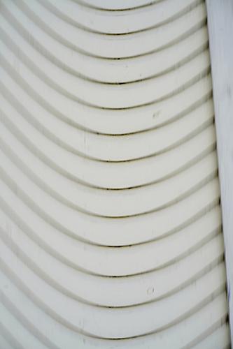 s_DSC3447.JPG