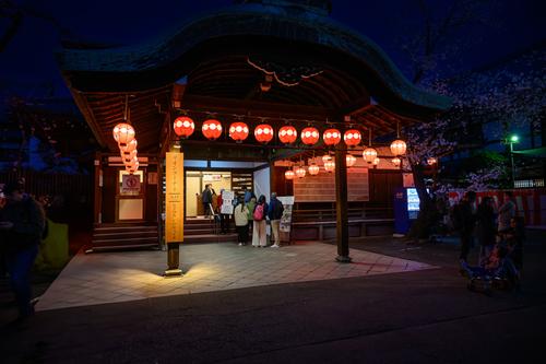 Kyoto 20250404 - 5.jpg