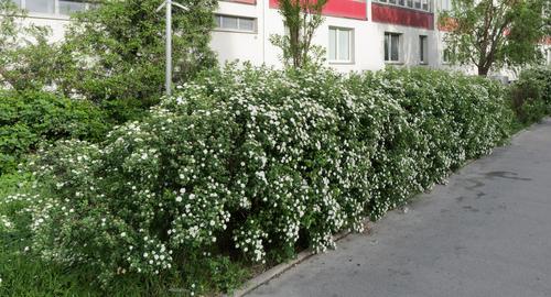 L1002160_b.jpg