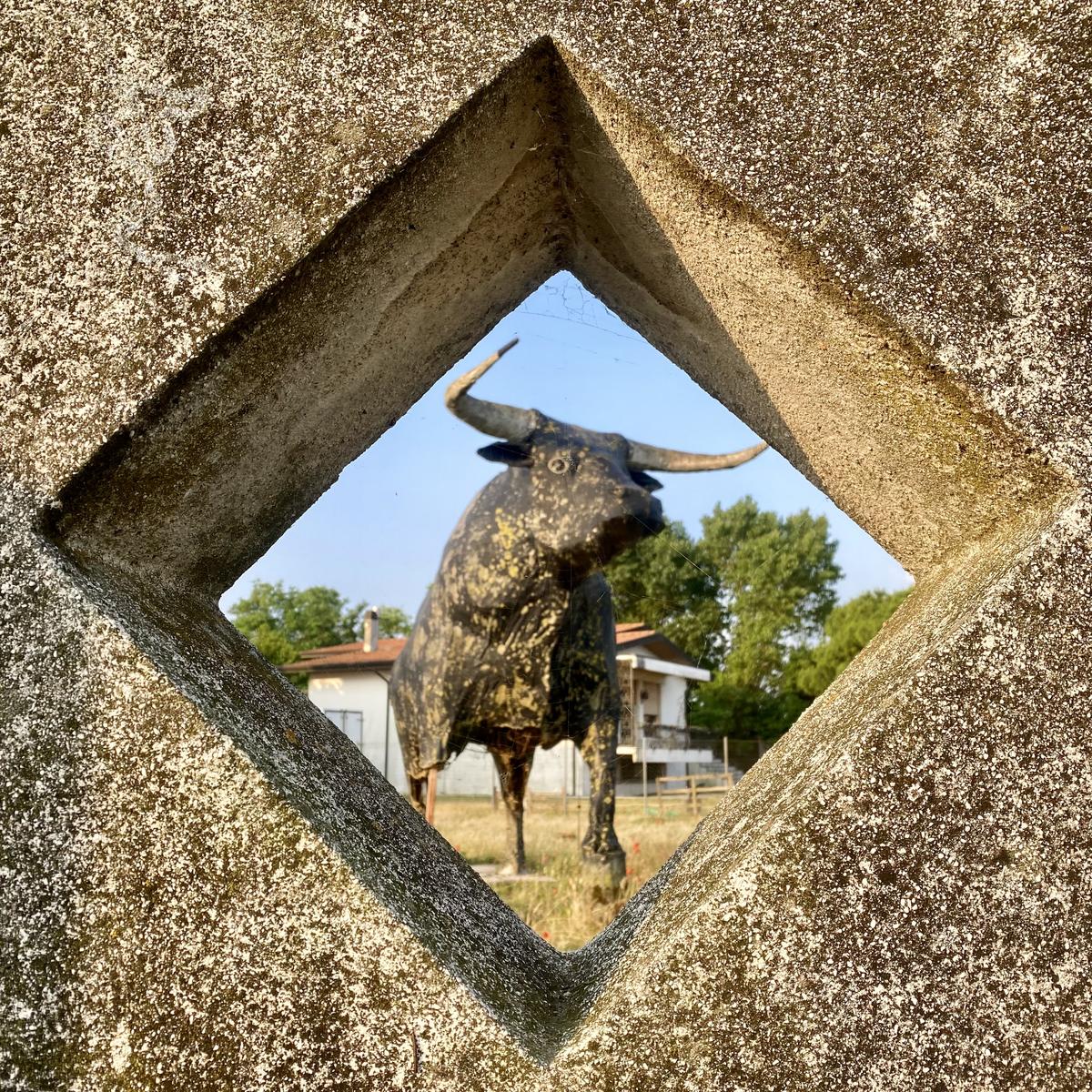 Laguna Venezia bull 1 by RoelH on Iphone11 - Jun 2025 - IMG_1566.jpg