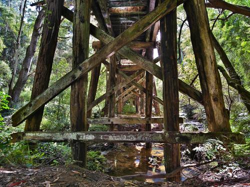 creek trestles.jpg