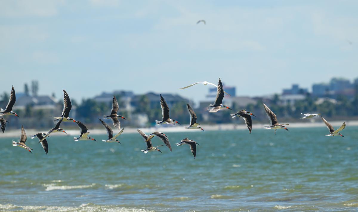 Vacation FM 2025-1262.jpg