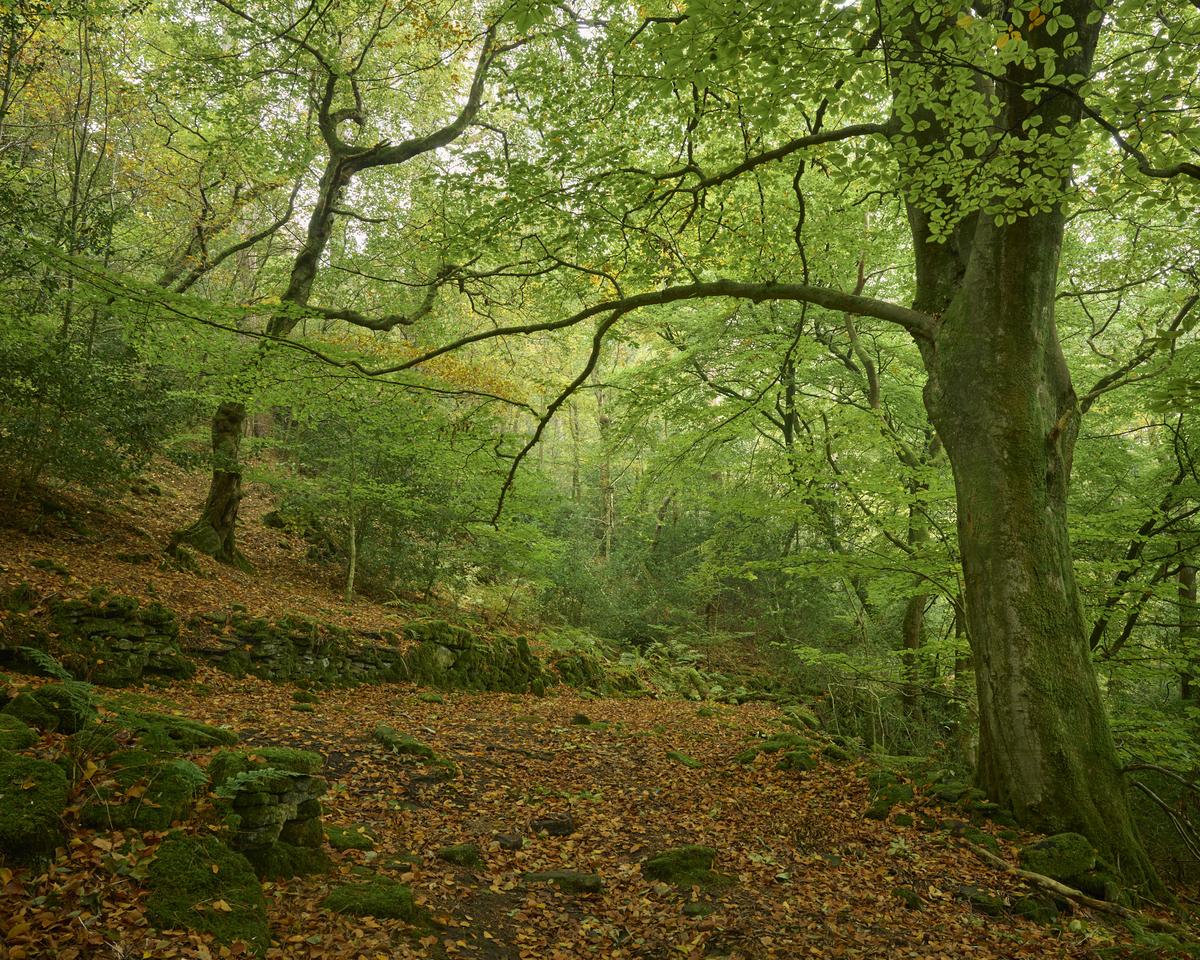 DSC_7848.jpg