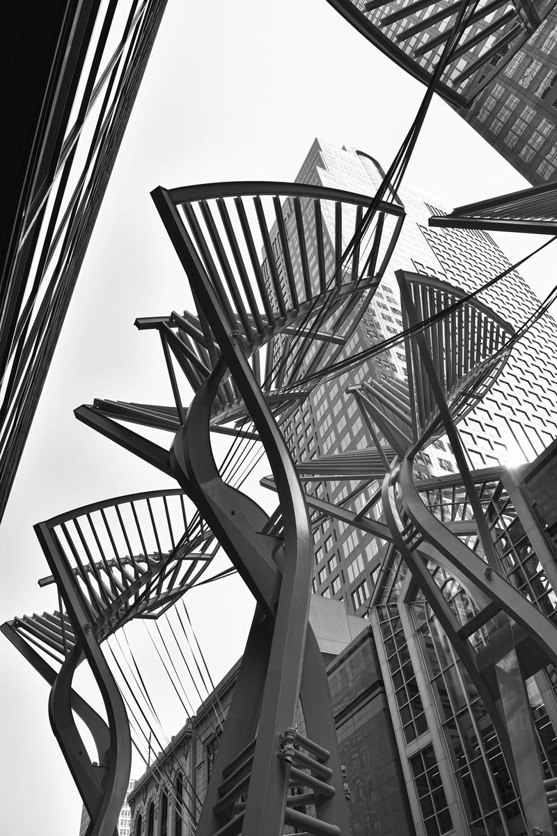 DSC_0959_BW.jpg