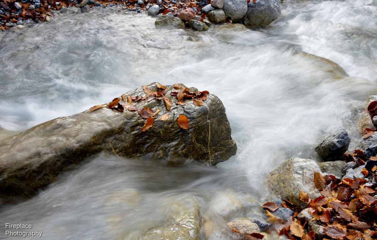 DSC_1584 smaller (2).JPG