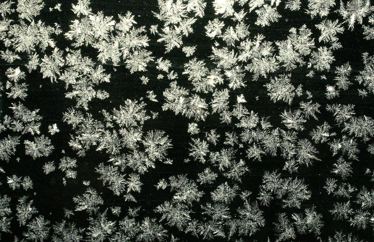 Ice dendrites.jpg