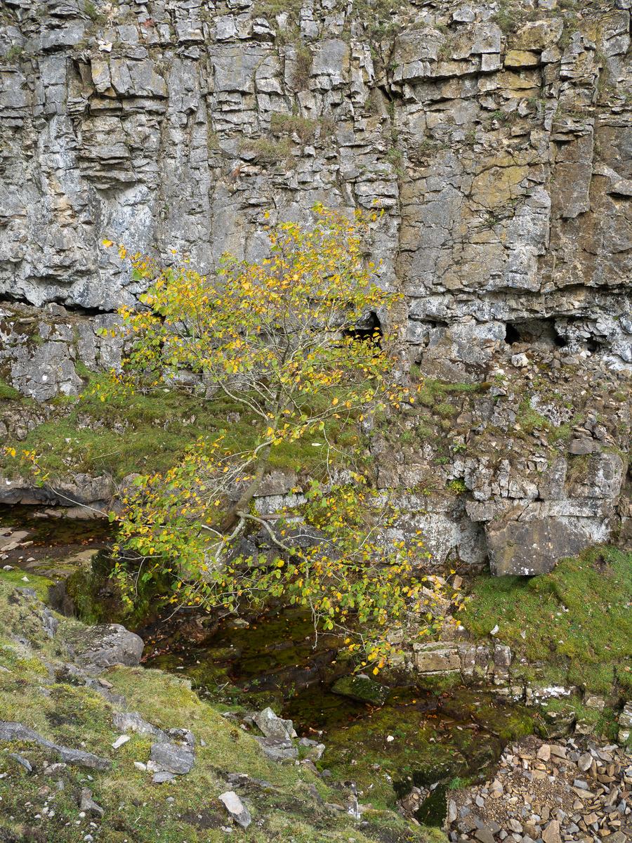 PA077540.jpg