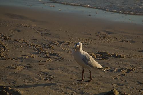IMG_1471.jpg