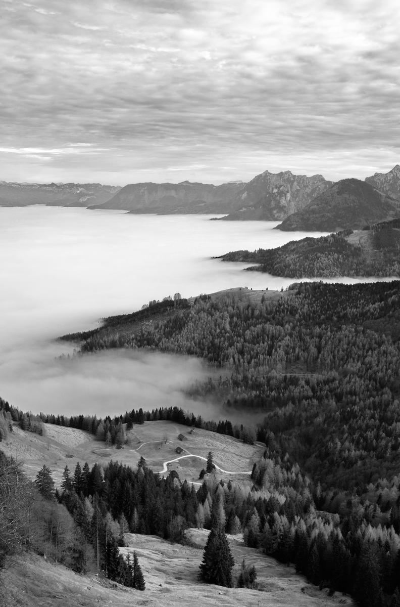 DSC_1050 de - B&W d.JPG