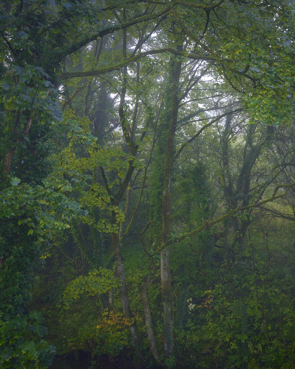 DSC_7538.jpg