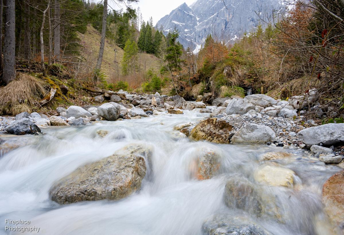 DSC_2865 smaller.JPG