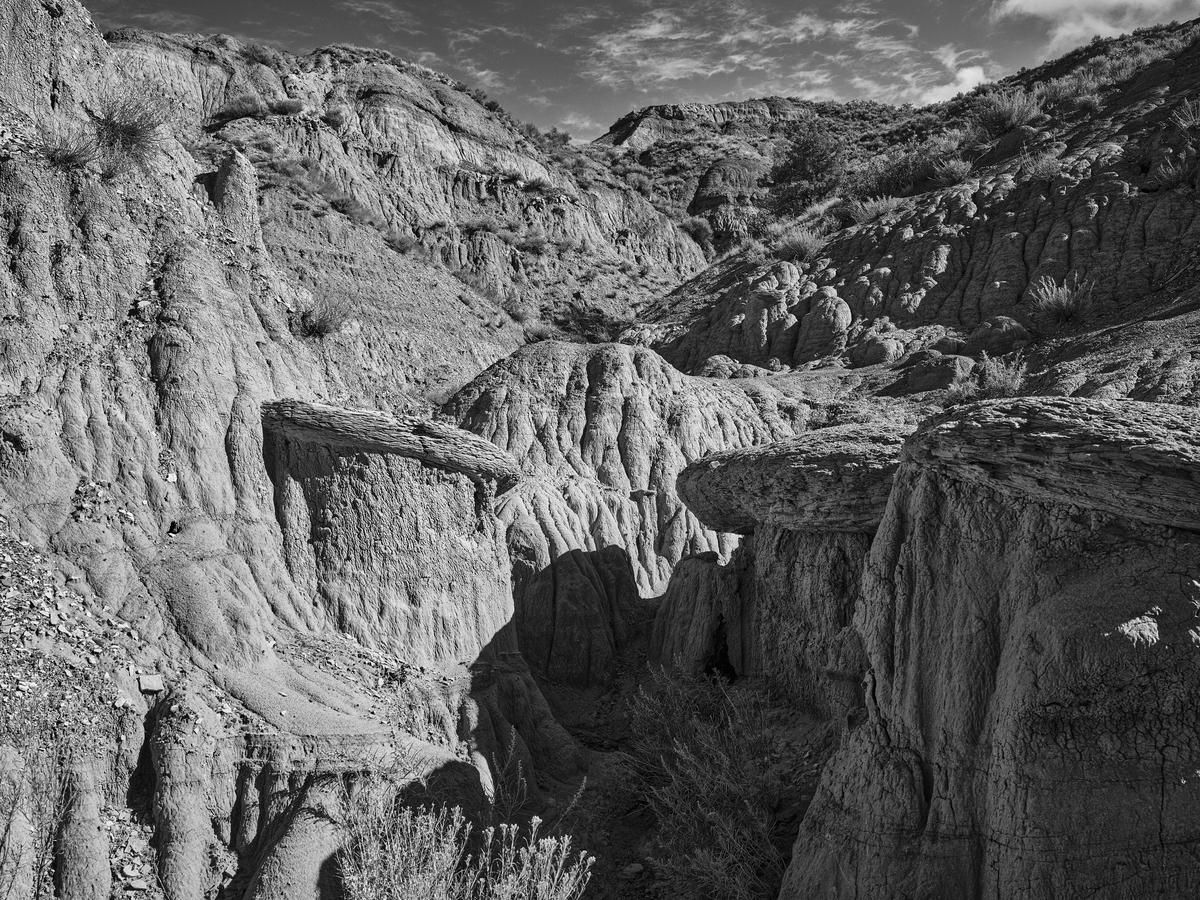 TRNP-North-GFRF0916-20250729-1125-topaz.jpg