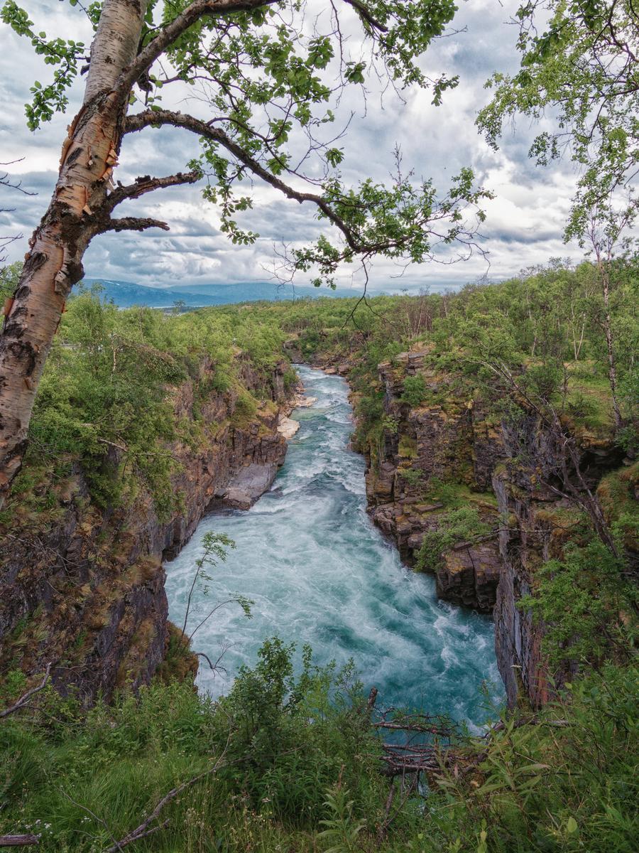 abisko_1.JPG