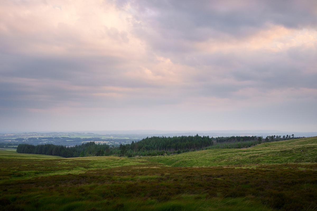 DSC_5547.jpg