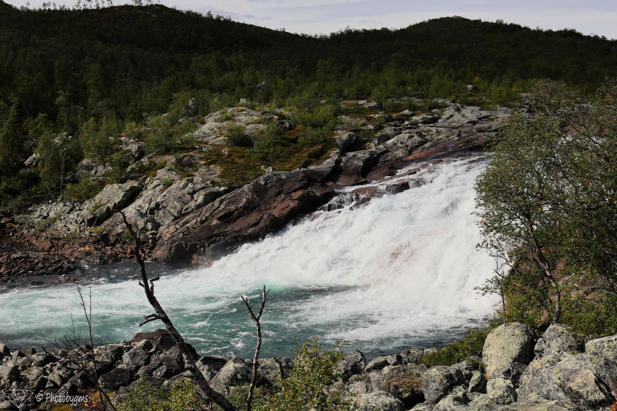 62B_9522.jpg