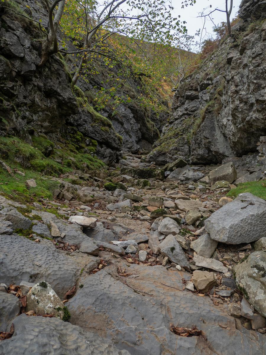 PA077541.jpg
