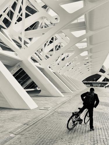 Valencia Calatrava IMG_8726.jpg