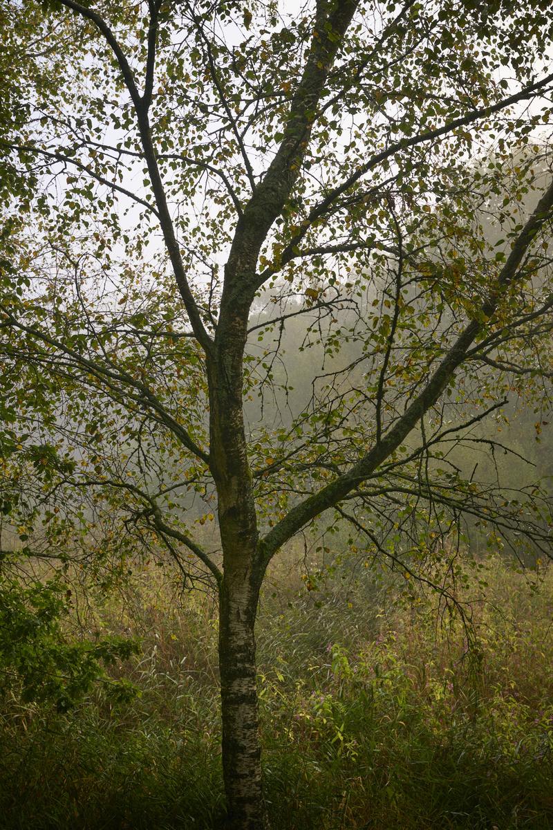 DSC_7570.jpg