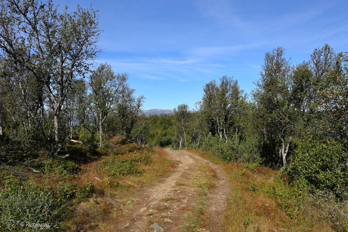 62A_9244.jpg