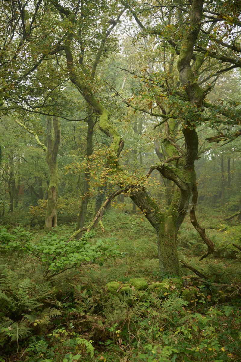 DSC_7951 1.jpg