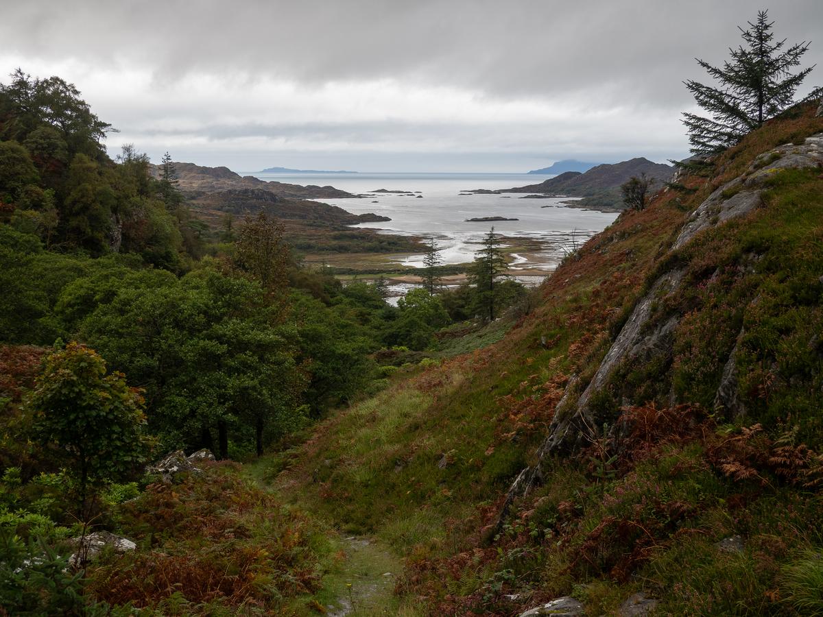 P9147238.jpg