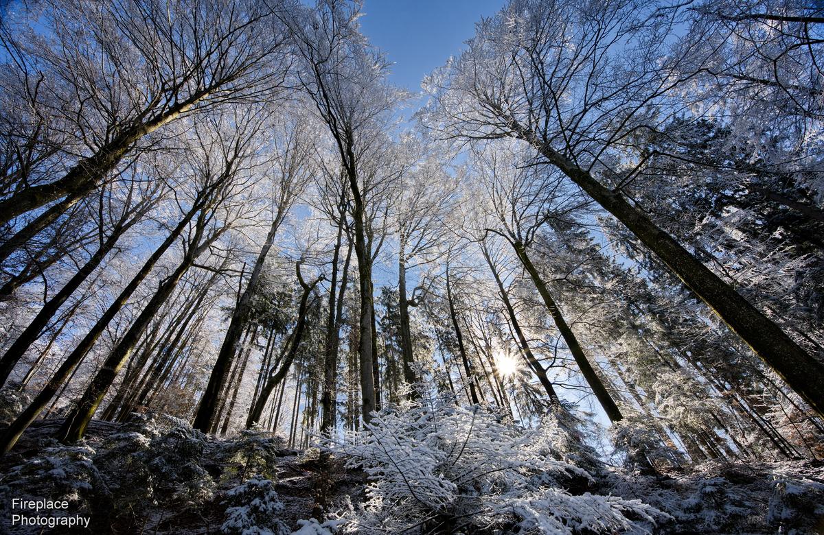 07-DSC_4523 smaller.JPG