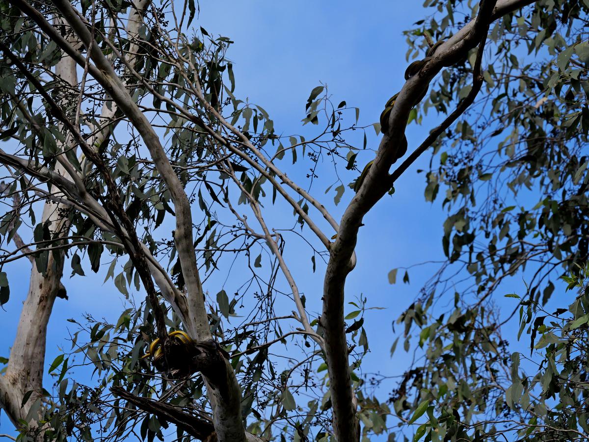 P1004332a.JPG