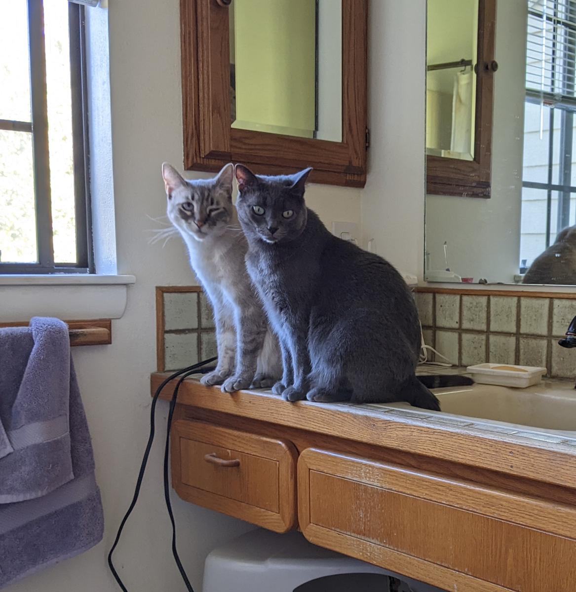 L and A in bathroom.jpg
