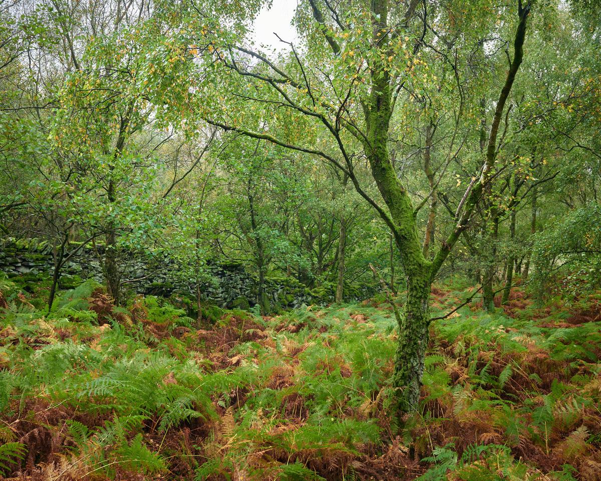 DSC_8470 1.jpg