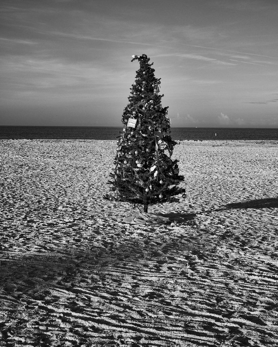 PRO33751-Dec 12 2021-006.jpg