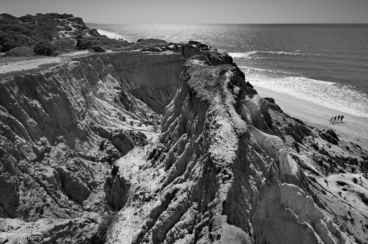 DSC_6318 - B&W smaller.JPG