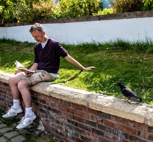 What are you reading.jpg