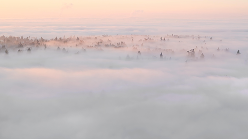 Sunrise Above the Clouds.png