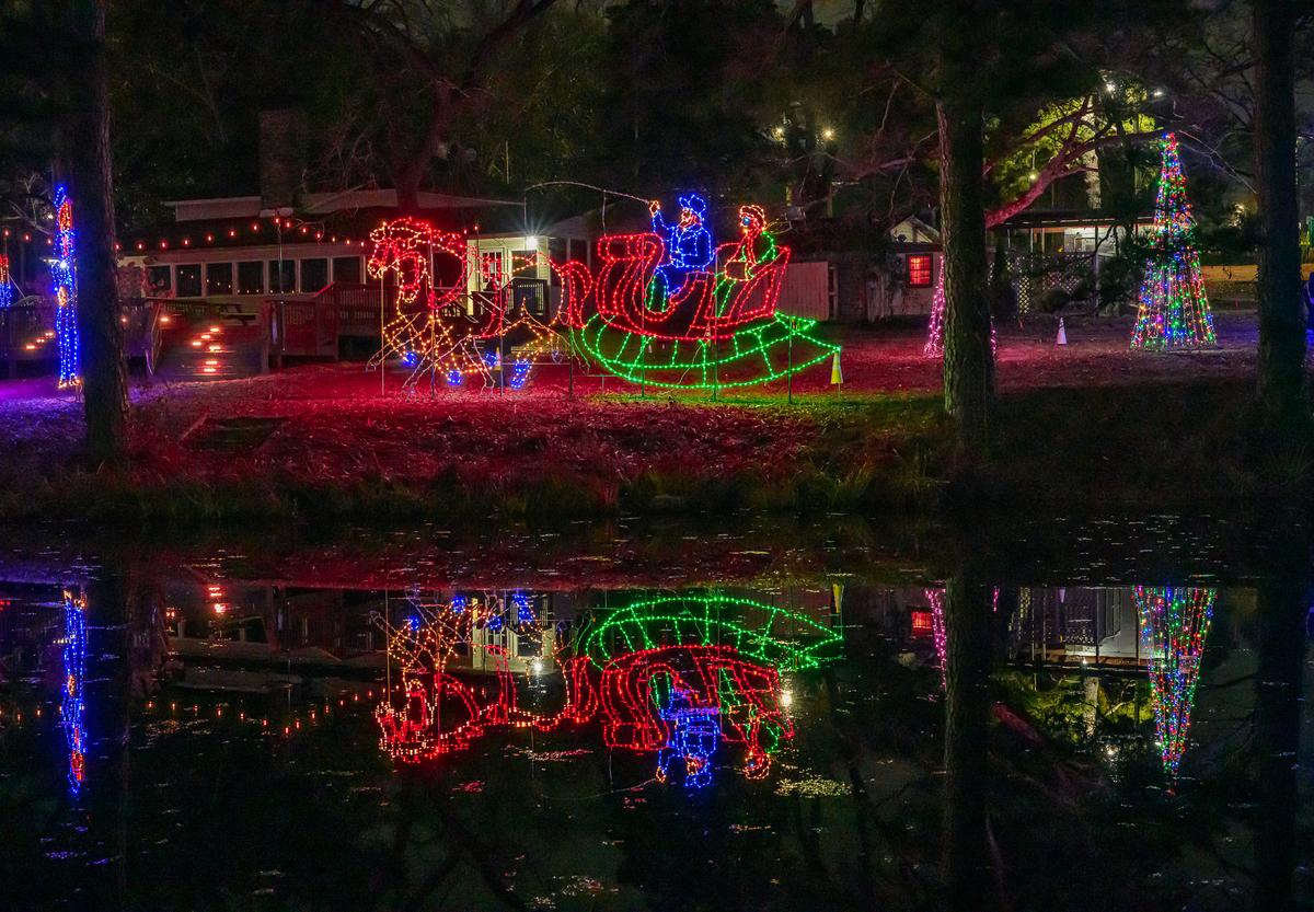 Cristmas Lights 20251226 - 161.jpg