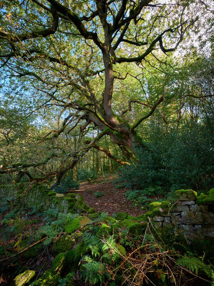 DSCF4703.jpg