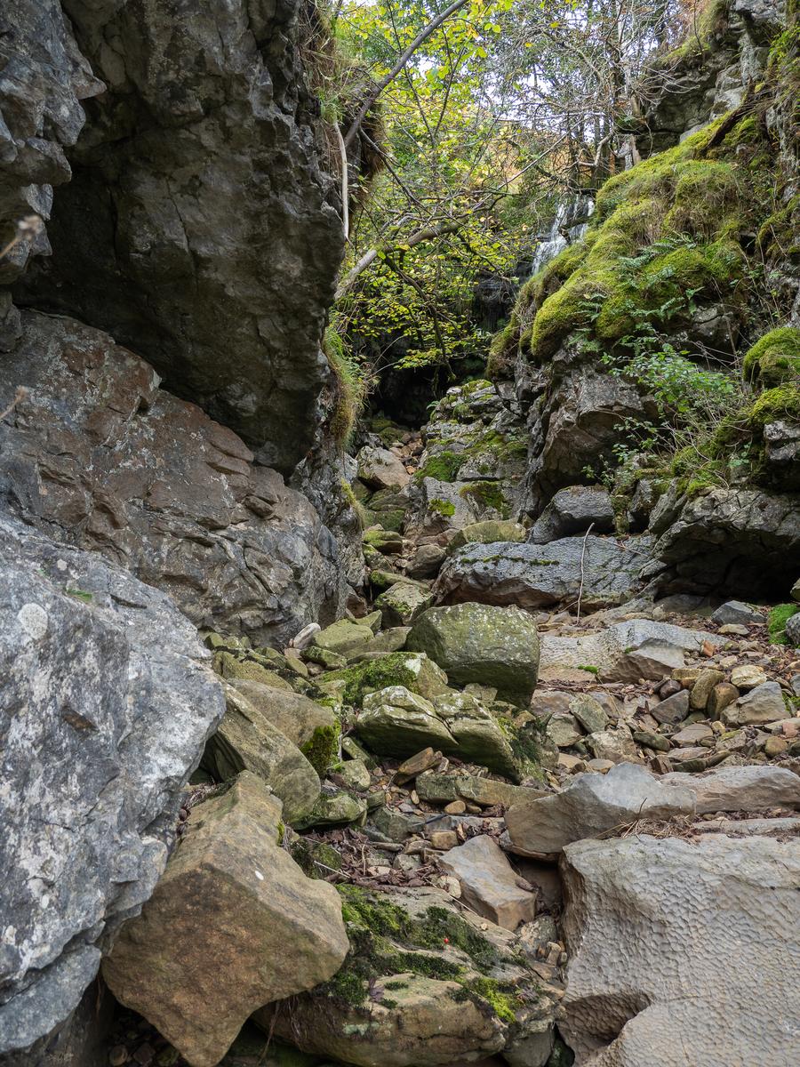 PA077547.jpg