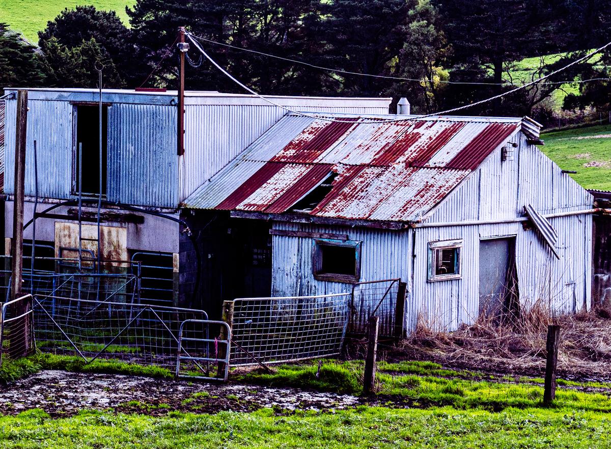 230808 A7RIVa Bena Shed Walkerville pola DSC02151-2.jpg