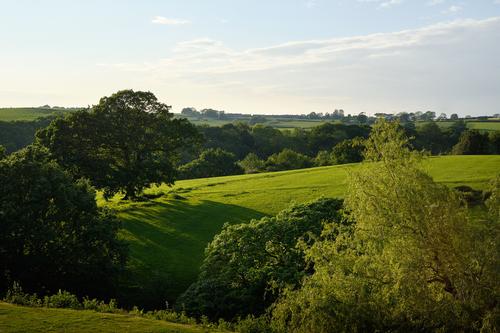 DSCF1169 1.jpg