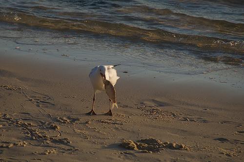 IMG_1469.jpg
