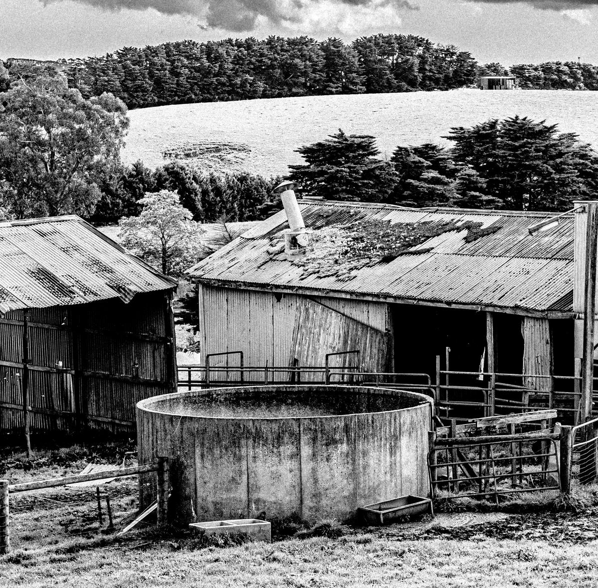 230808 A7RIVa Bena Shed Walkerville pola DSC02151-4.jpg