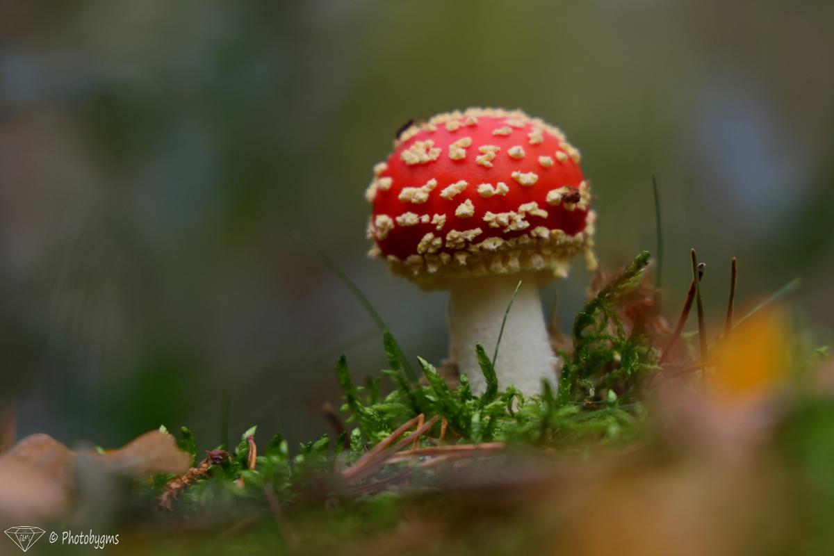 62B_5910.jpg