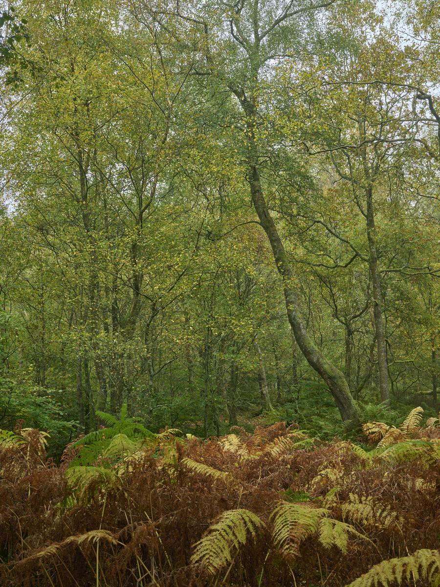 DSC_7878.jpg