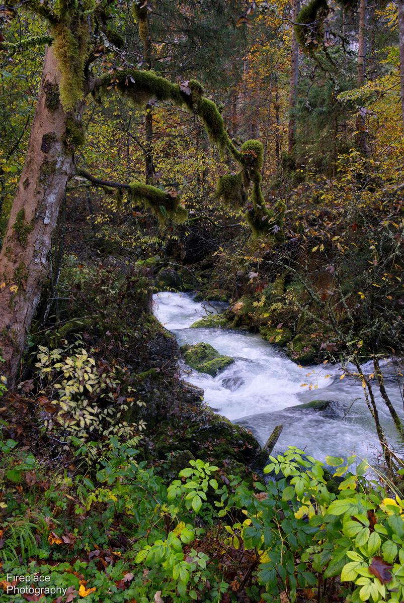 DSC_4308 smaller.JPG