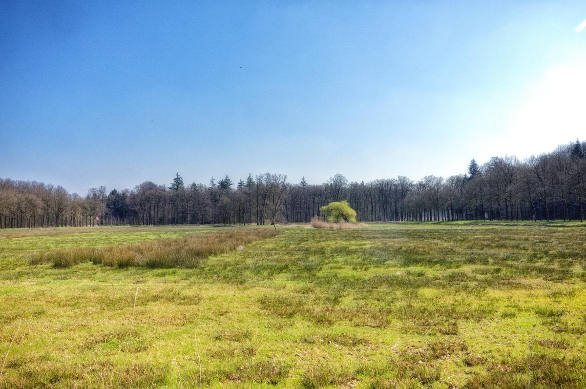 5D4_2186_1_Nik_DxO.jpg