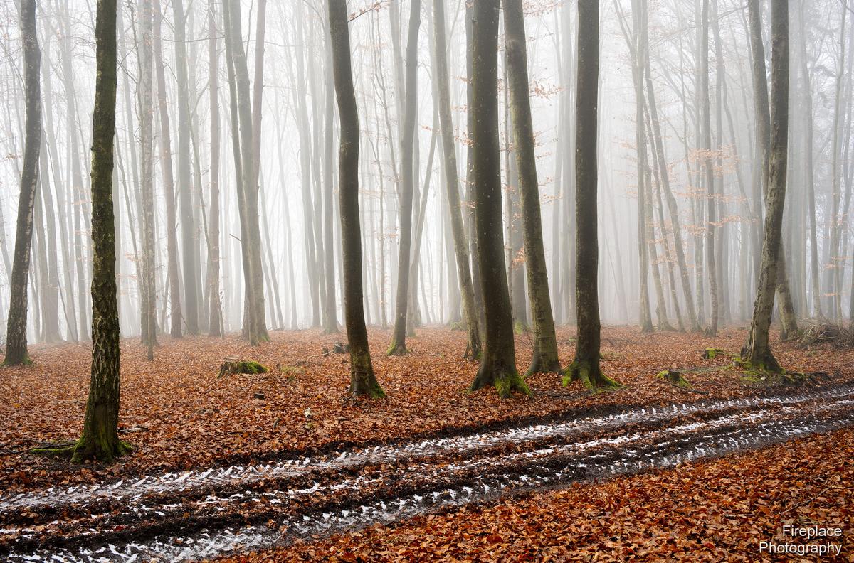 DSC_8171 smaller (2).JPG