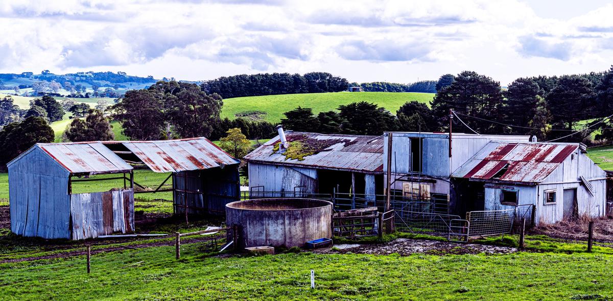 230808 A7RIVa Bena Shed Walkerville pola DSC02151_(Supersize).jpg