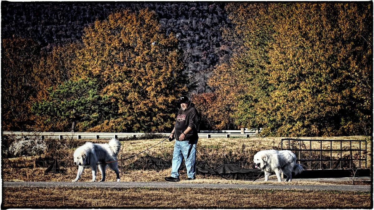 A Walk in the Park.jpg