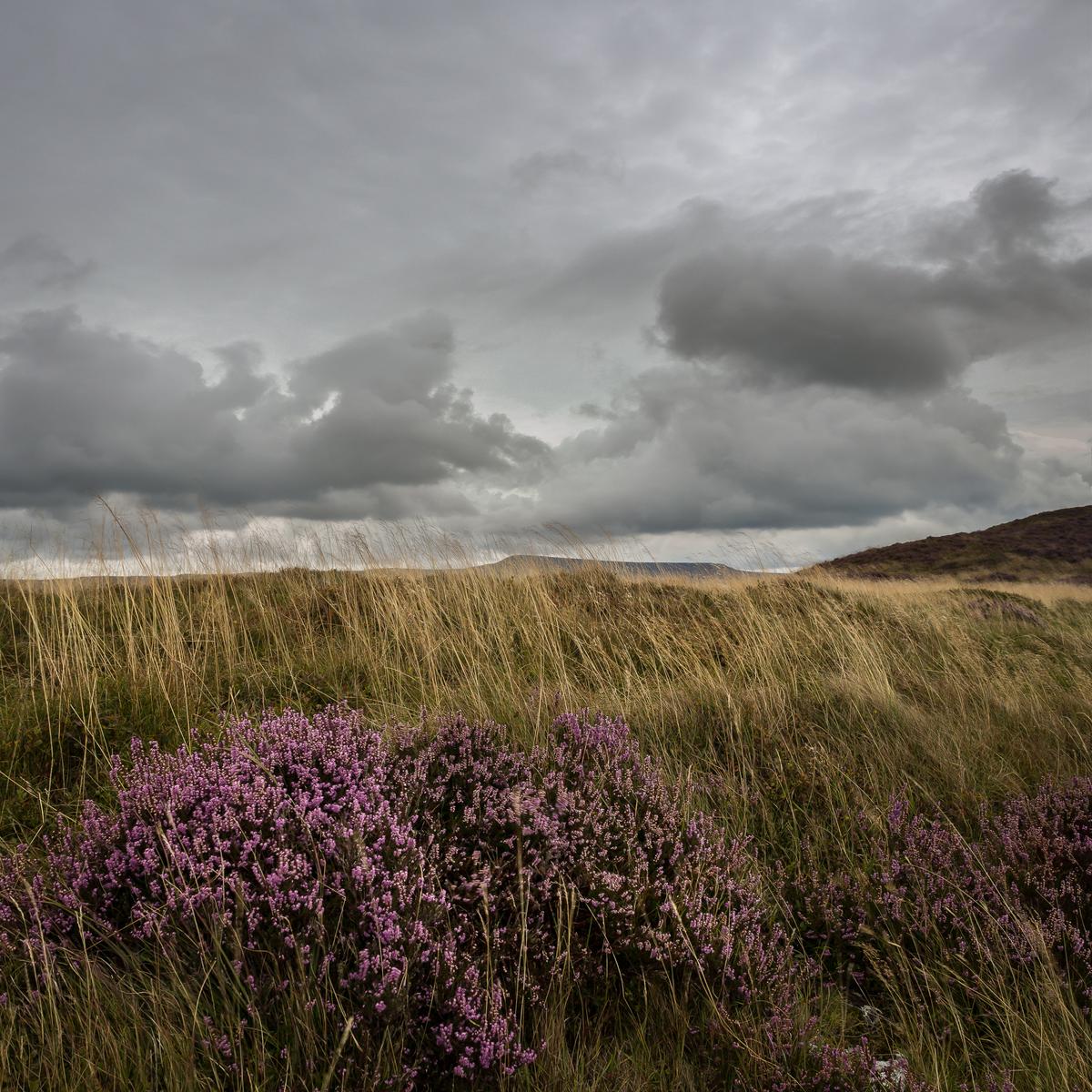 Llangorse-Aug2014-9-Pano-Edit.jpg